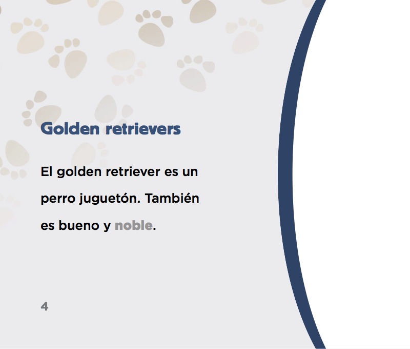Golden retrievers — page 1