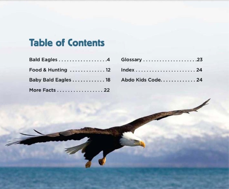 Bald Eagles book cover