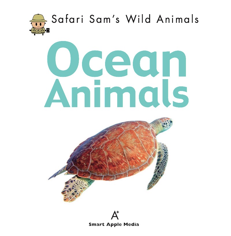 Ocean Animals book cover