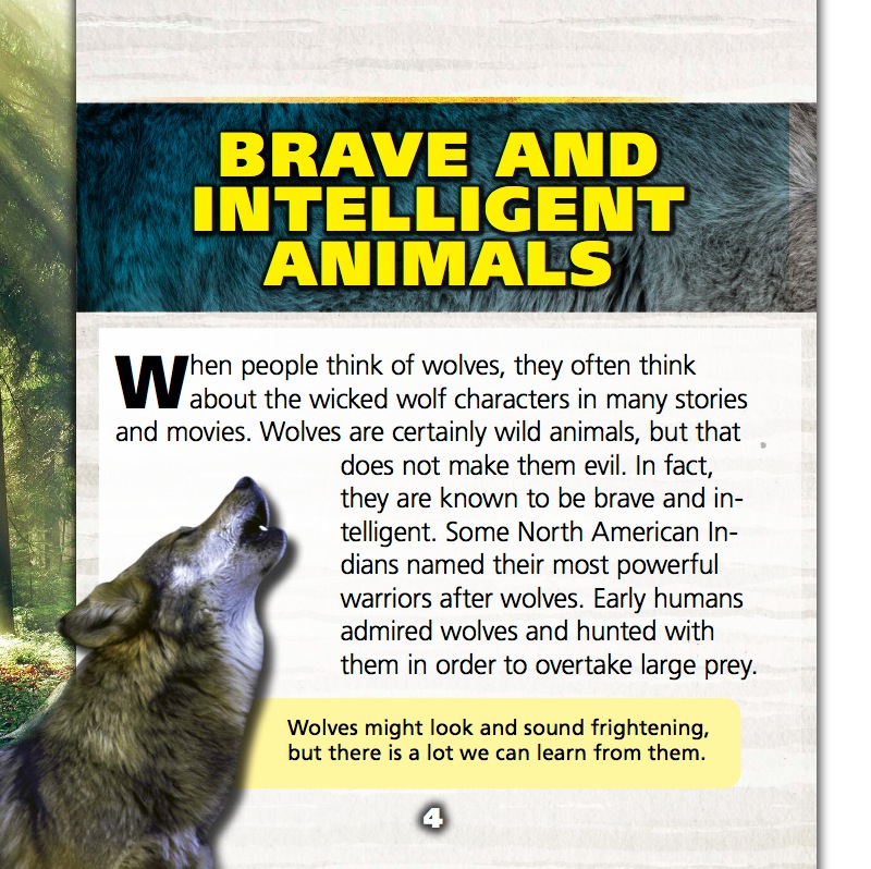 Saving the Endangered Gray Wolf — page 1