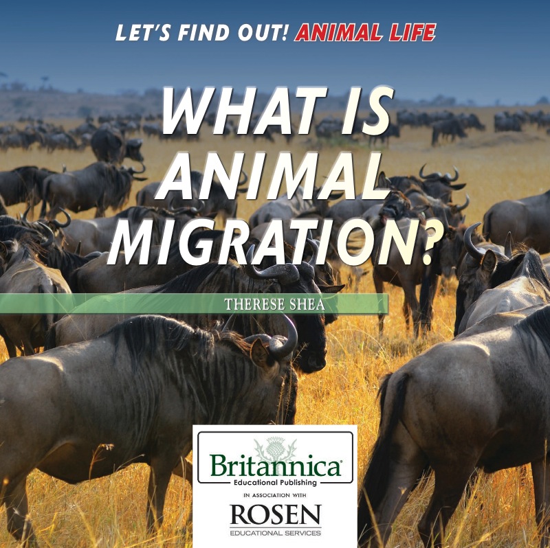What Is Animal Migration? book cover