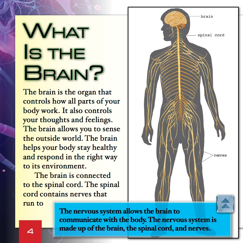 The Brain in Your Body — page 1