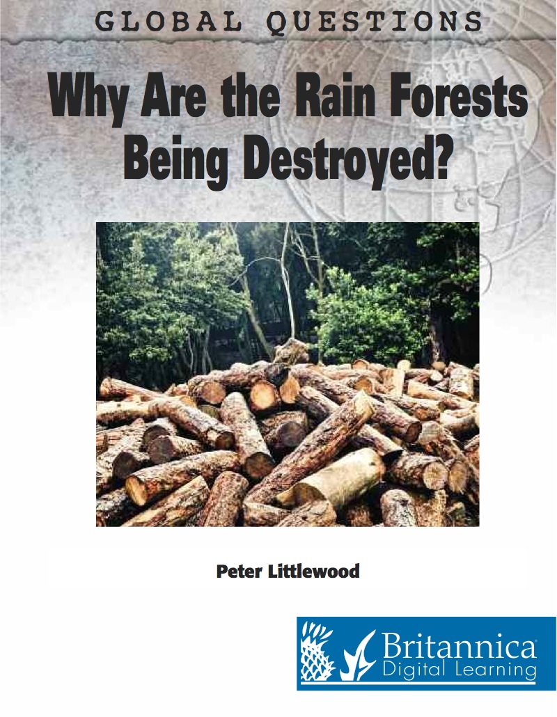 Why Are the Rain Forests Being Destroyed? book cover