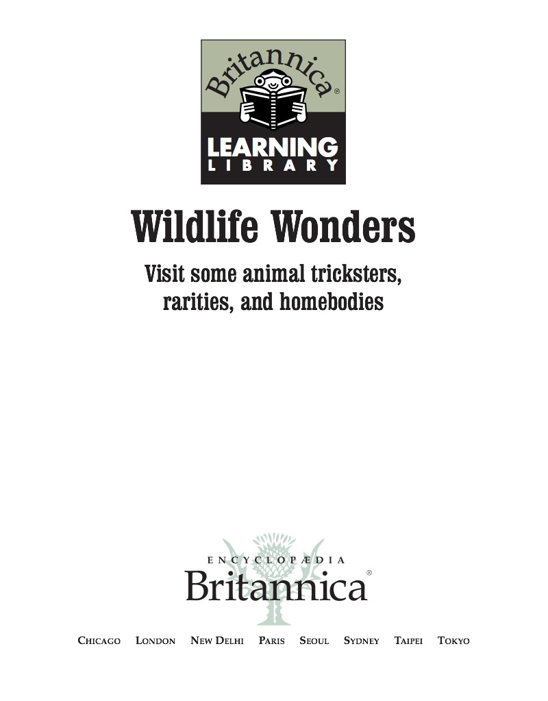 Wildlife Wonders book cover