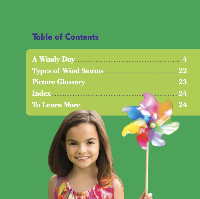 Weather Watch: Wind book cover