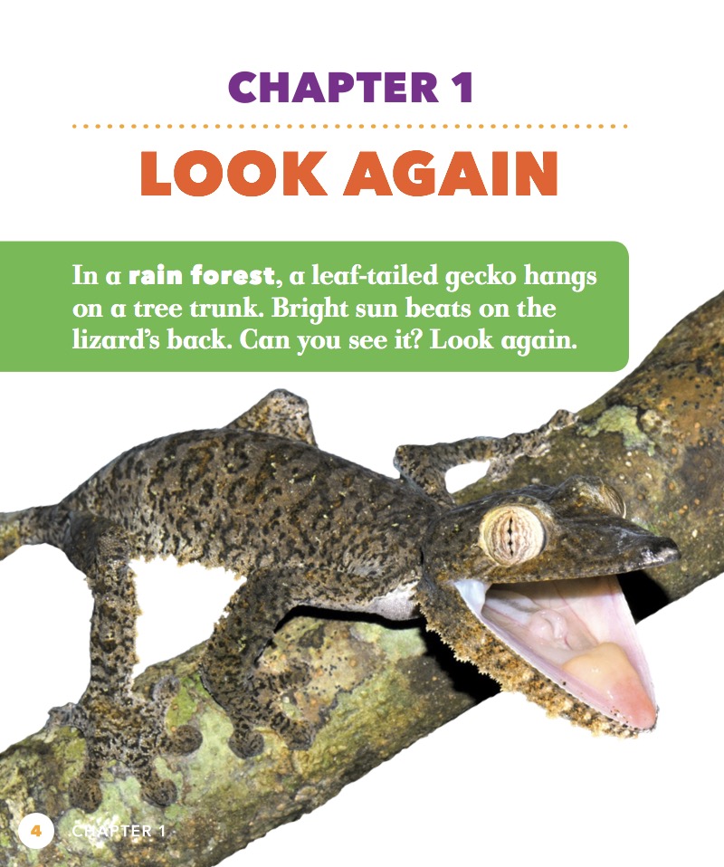 Back Off! Undercover Animals — page 1