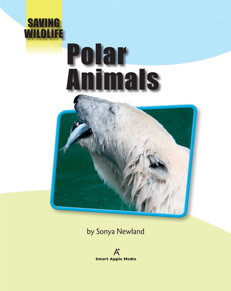Polar Animals book cover