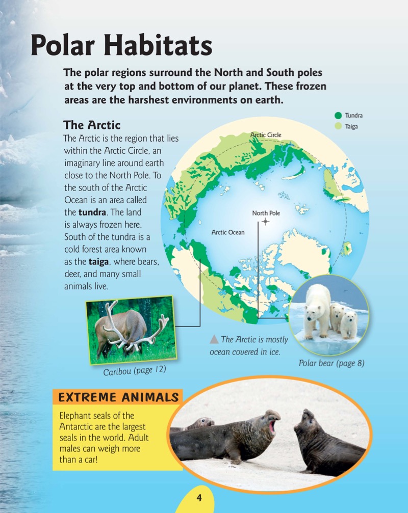 Polar Animals — page 1