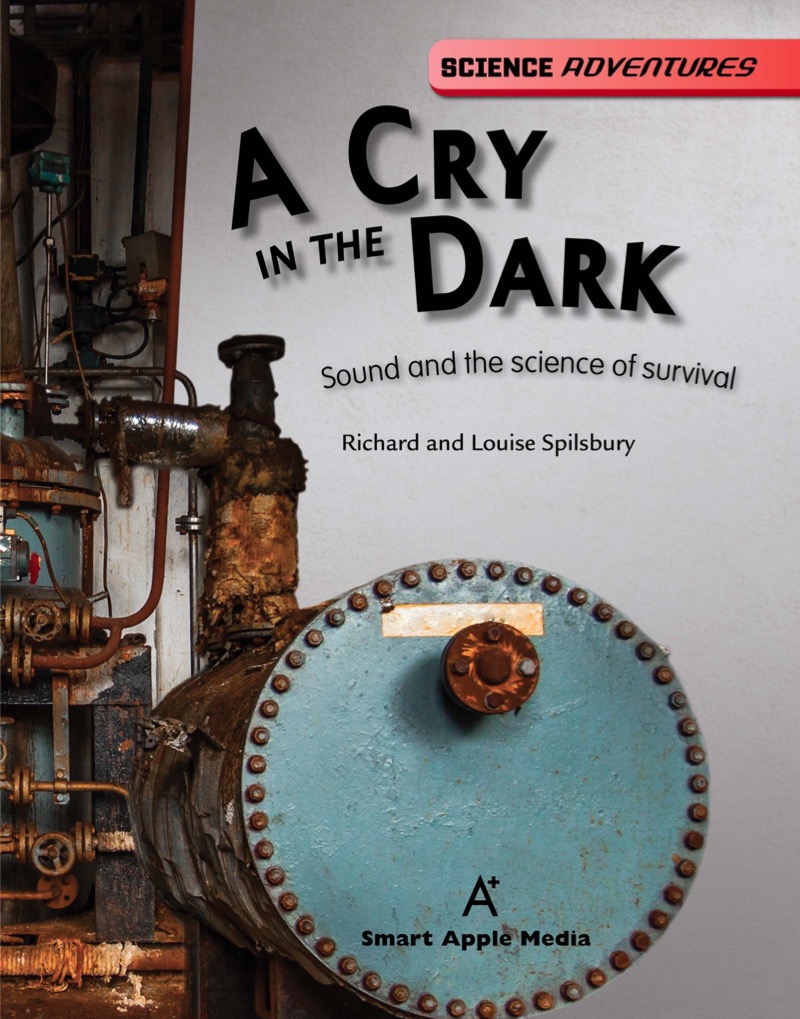 A Cry in the Dark book cover