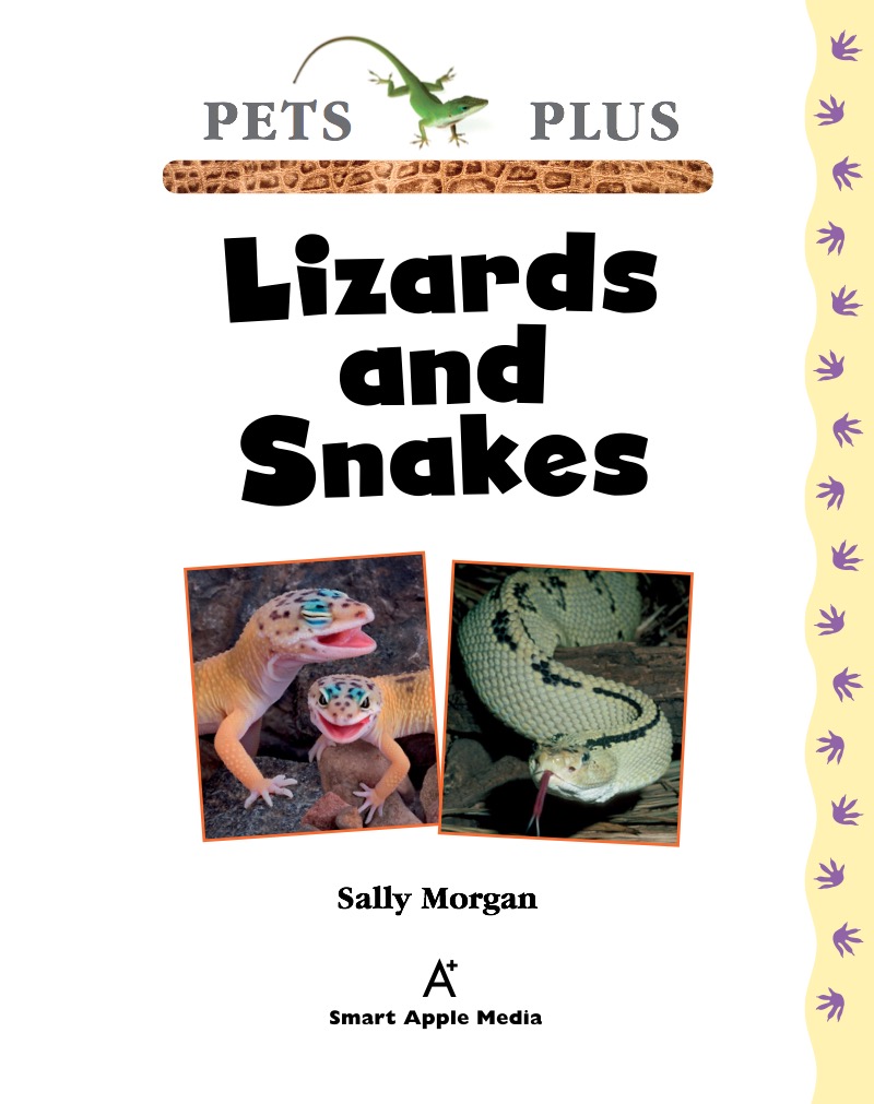 Lizards and Snakes book cover