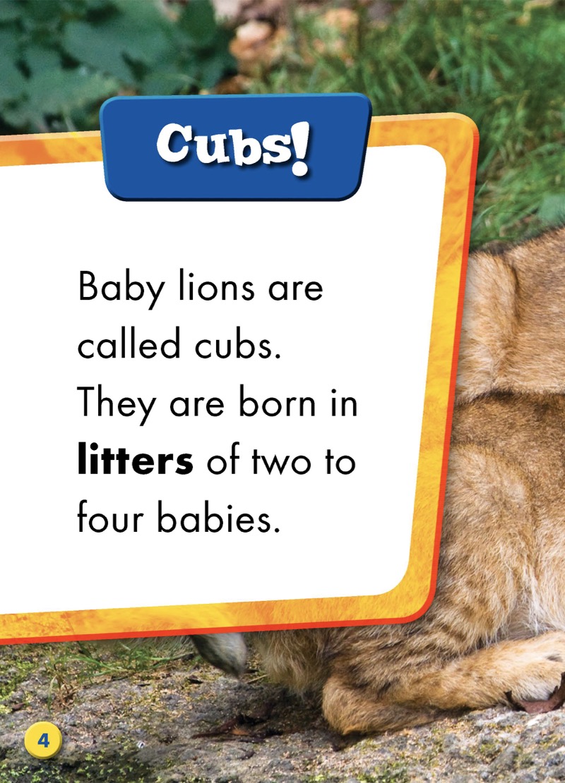 Super Cute! Baby Lions — page 1