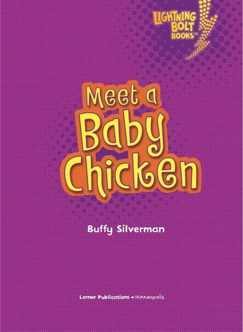 Meet a Baby Chicken book cover