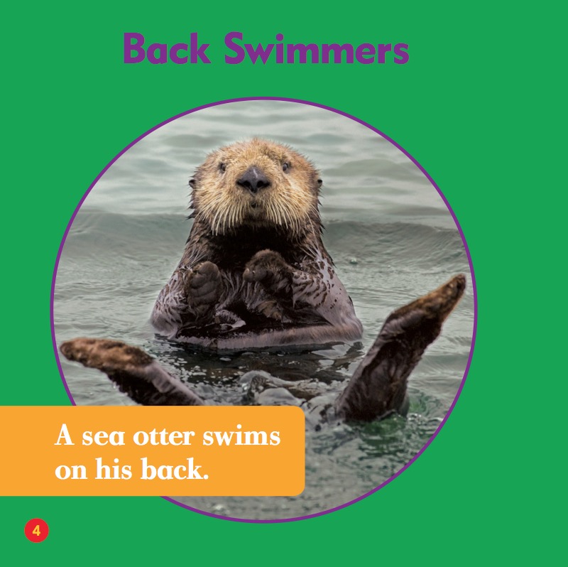 Life Under The Sea: Sea Otters — page 1