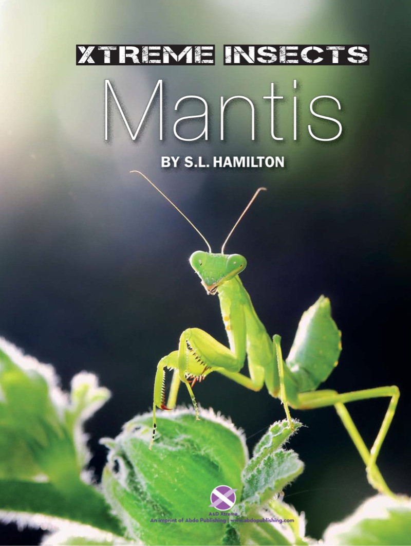 Mantis book cover