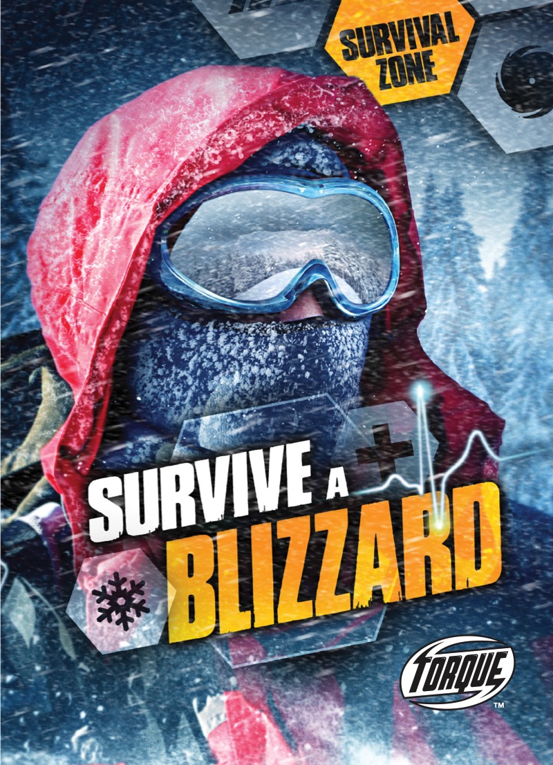 Survive A Blizzard book cover