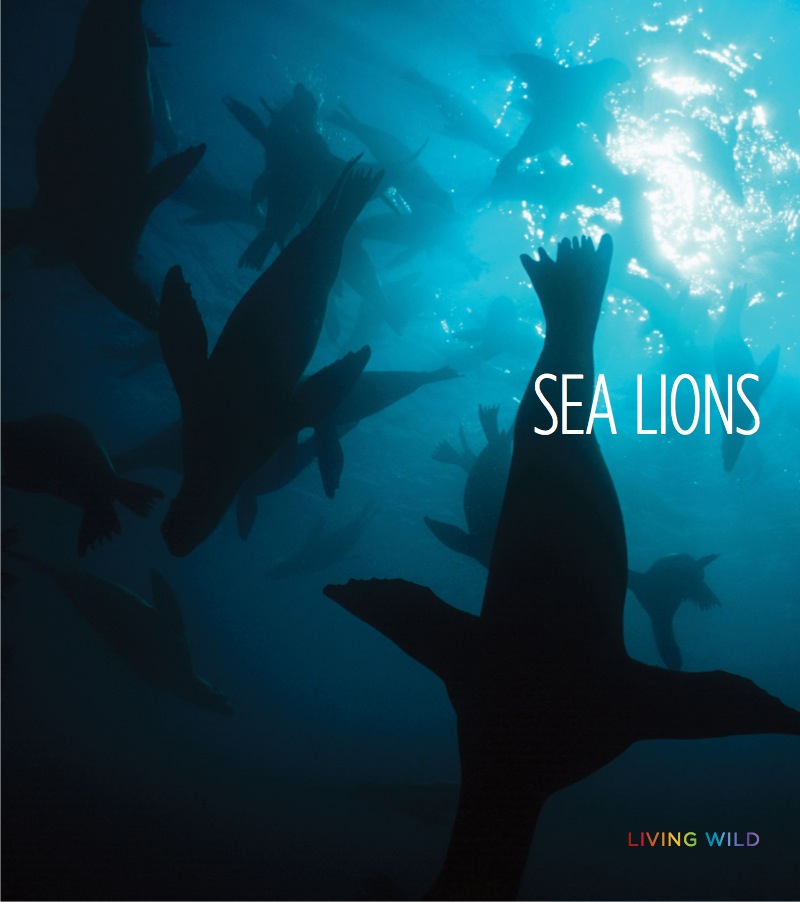 Sea Lions book cover