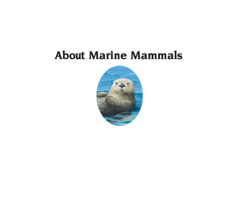 About Marine Mammals book cover