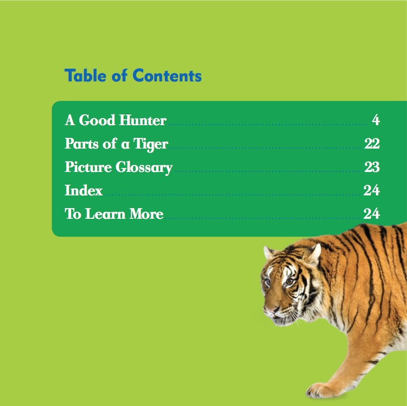 My First Animal Library: Tiger book cover