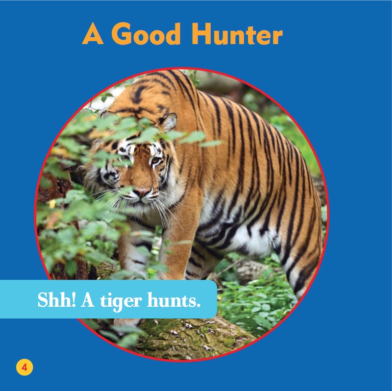 My First Animal Library: Tiger — page 1
