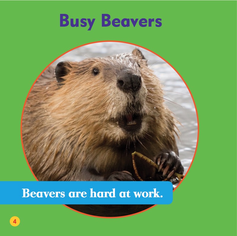 My First Animal Library: Beavers — page 1