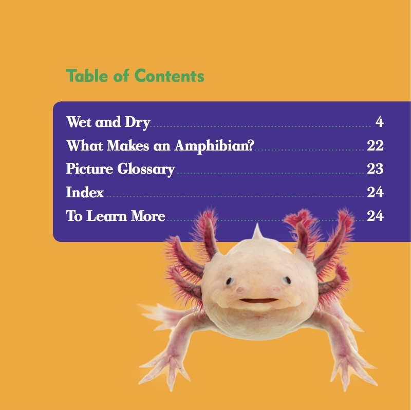 Animal Classification: Amphibians book cover