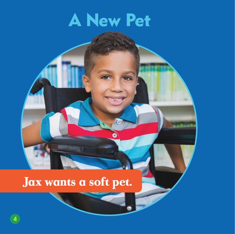 My First Pet: Chinchillas — page 1