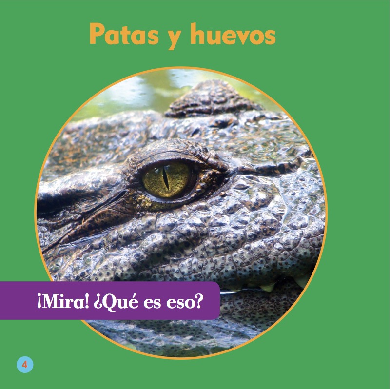Clasificación Animal: Reptiles — page 1