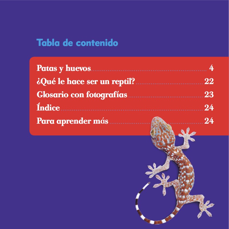 Clasificación Animal: Reptiles book cover