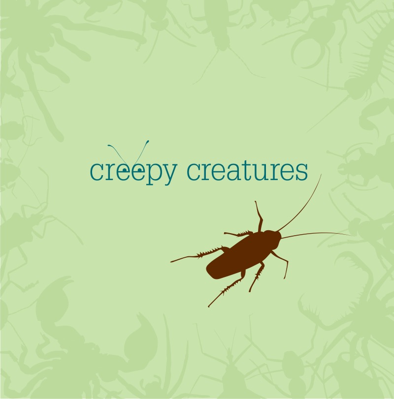 Cockroaches book cover