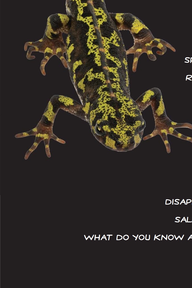 Salamander: Master of Regrowth — page 1