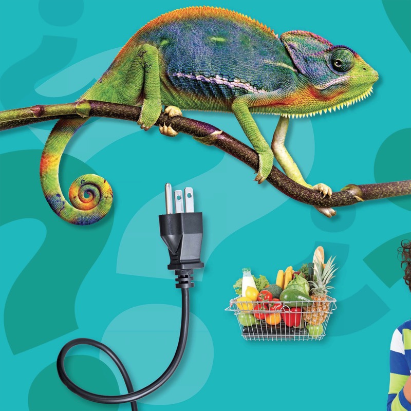National Geographic Little Kids First Big Book of How — page 1