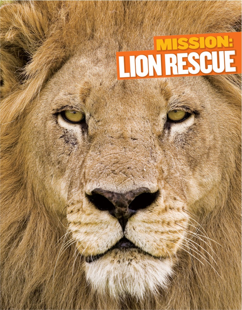 National Geographic Kids Mission: Lion Rescue book cover