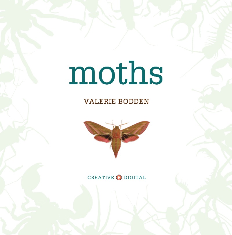 Moths book cover
