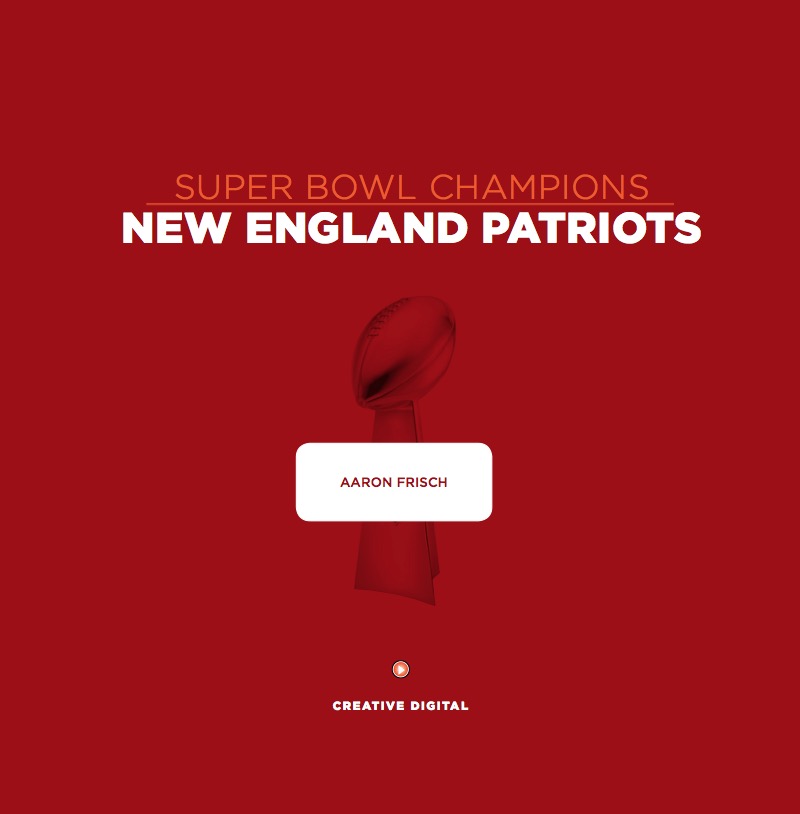 New England Patriots book cover