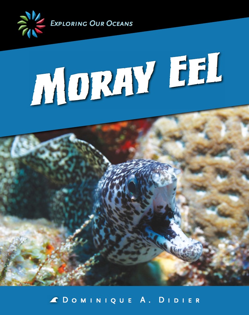Moray Eel — page 1