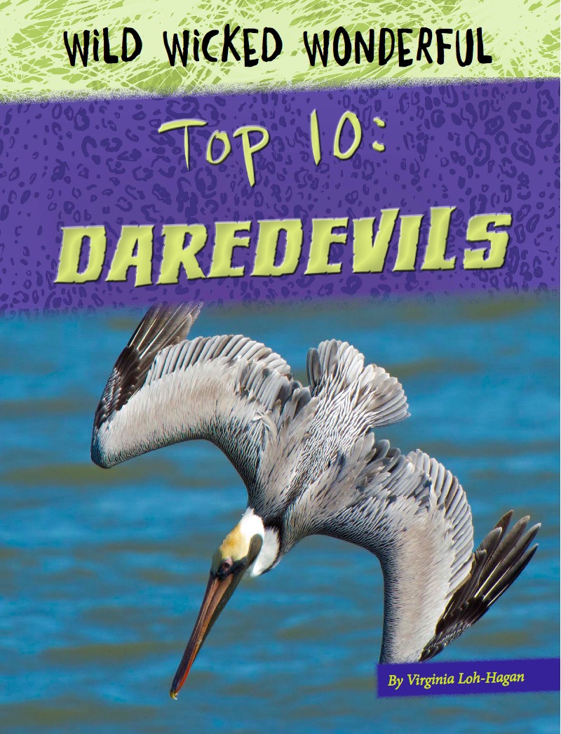 Top 10: Daredevils book cover