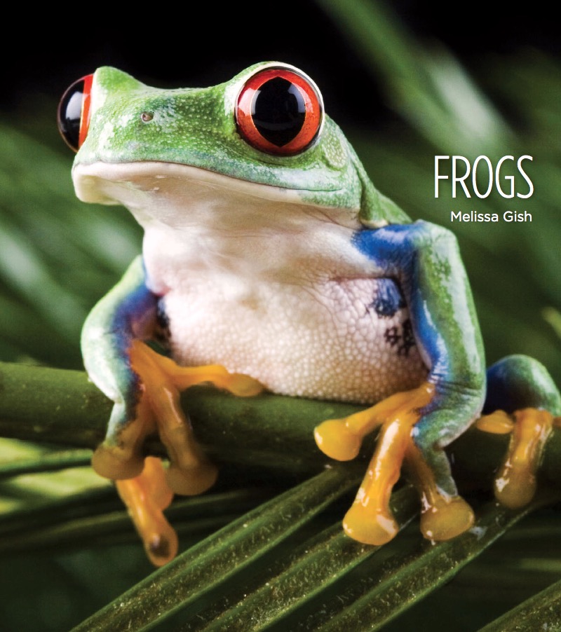 Frogs book cover