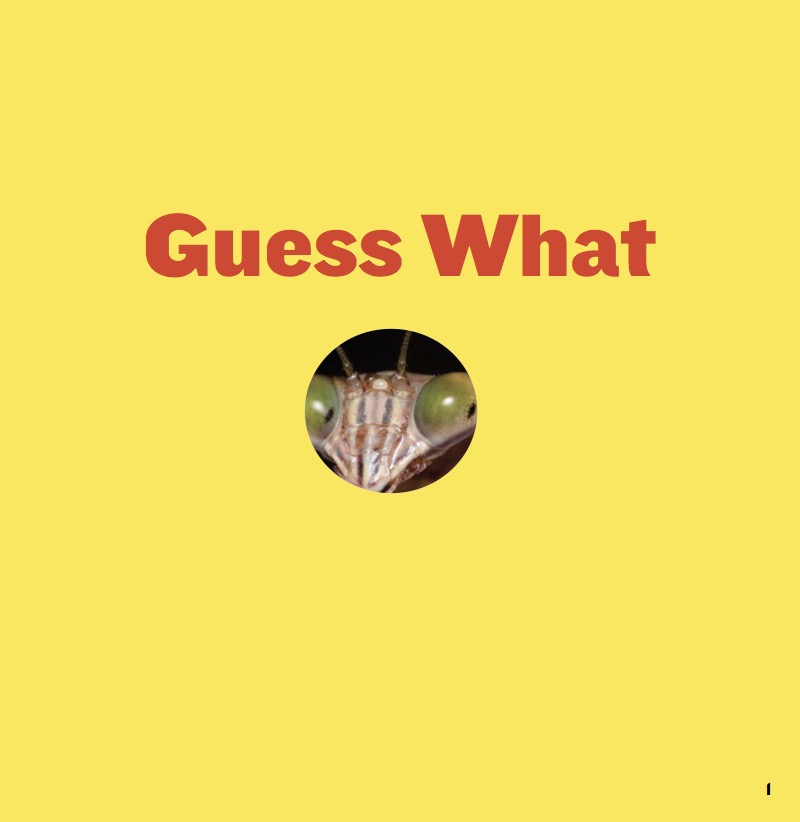 Lanky Legs book cover