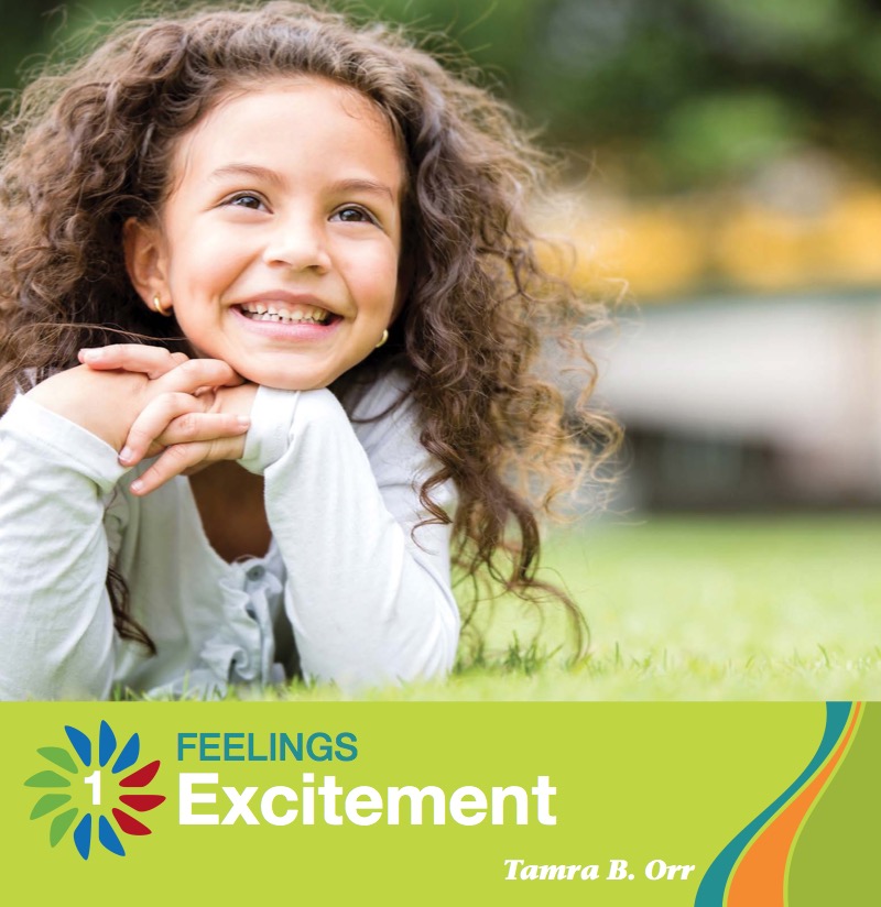 Excitement book cover