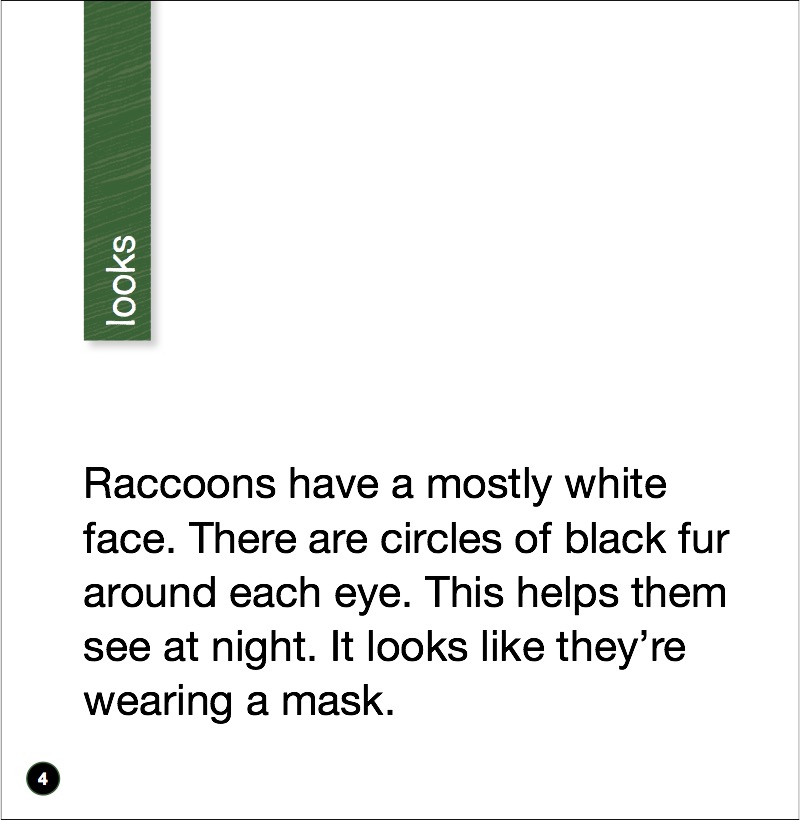 Raccoon — page 1