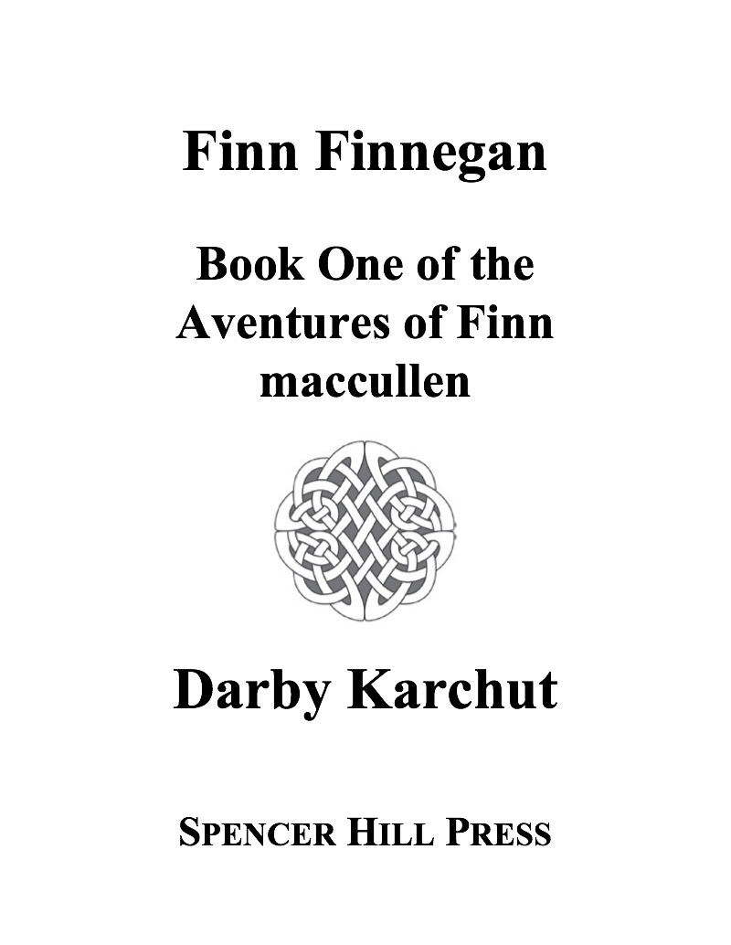 Finn Finnegan book cover