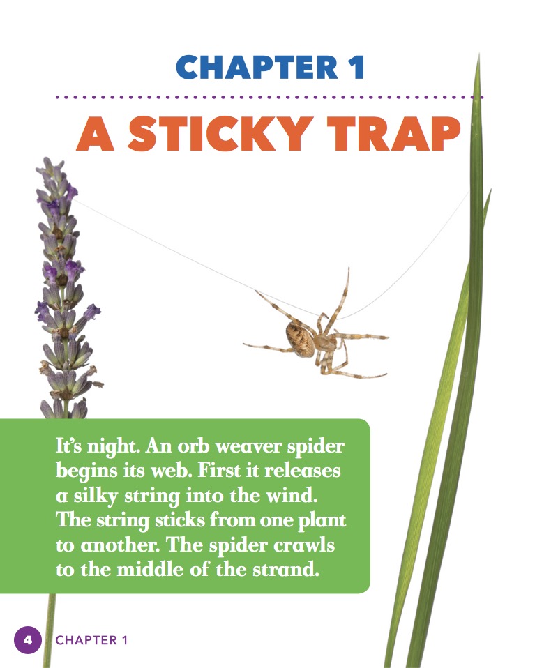 Spiders — page 1