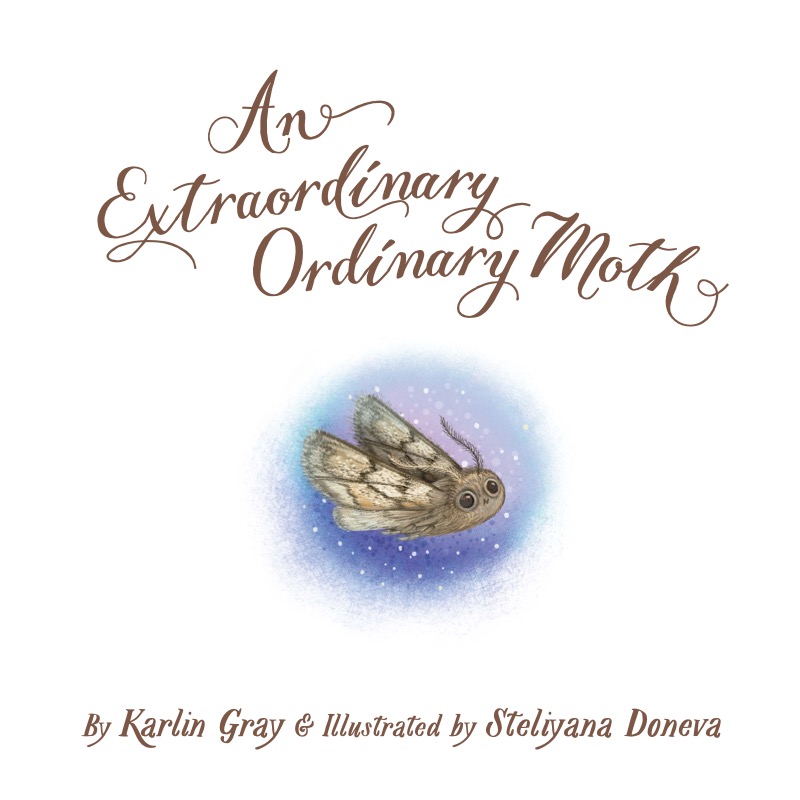 An Extraordinary Ordinary Moth book cover