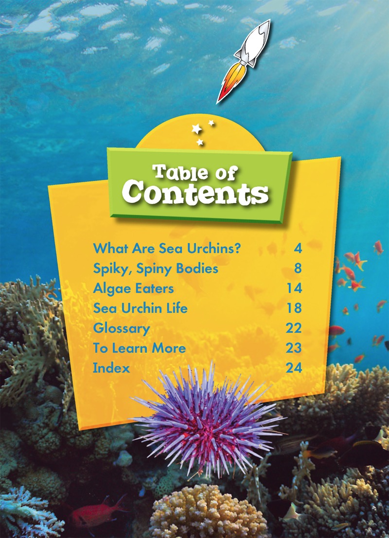 Sea Urchins book cover