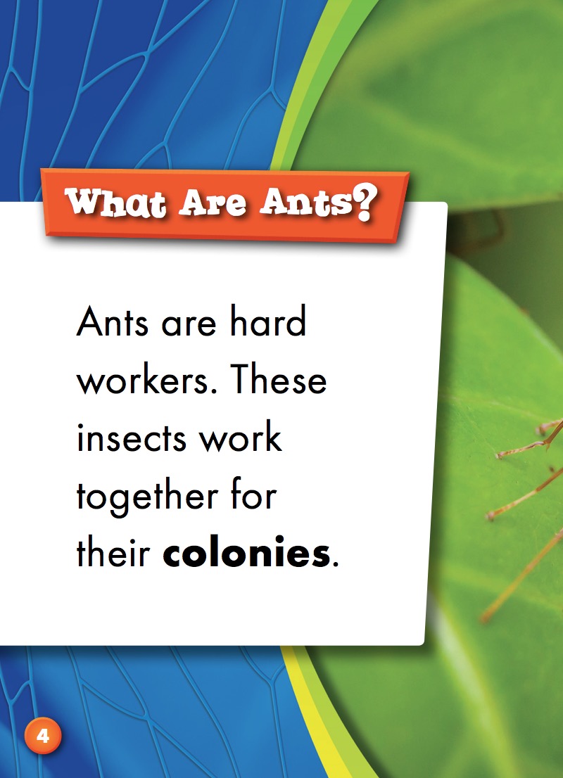Ants — page 1