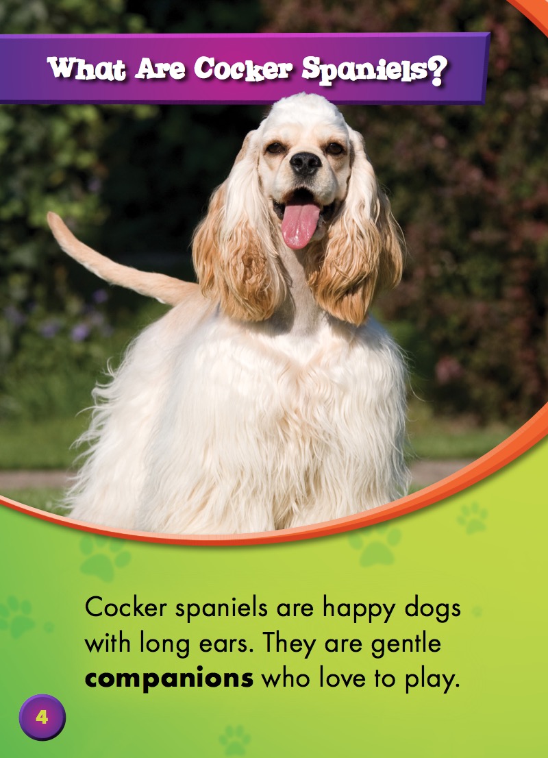 Cocker Spaniels — page 1