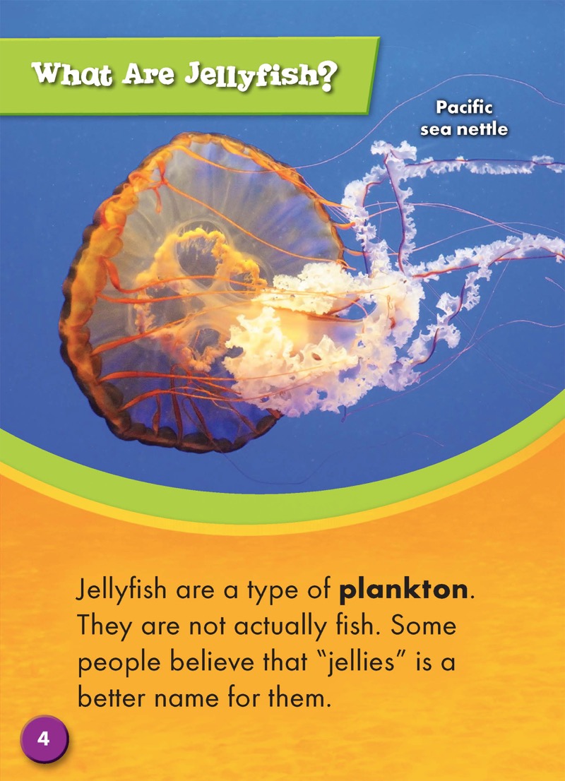 Jellyfish — page 1