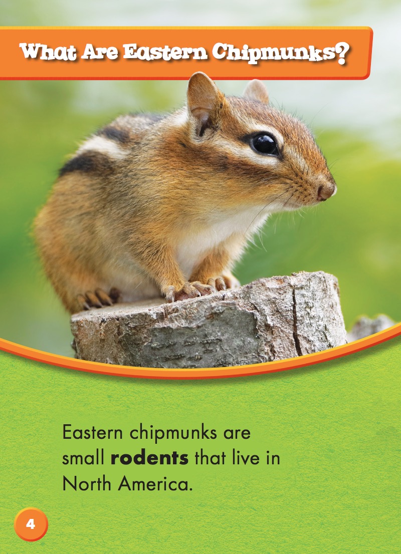 Eastern Chipmunks — page 1