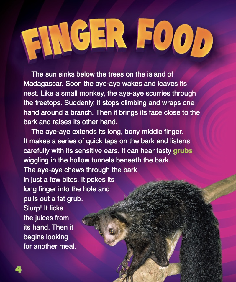Aye-Aye — page 1