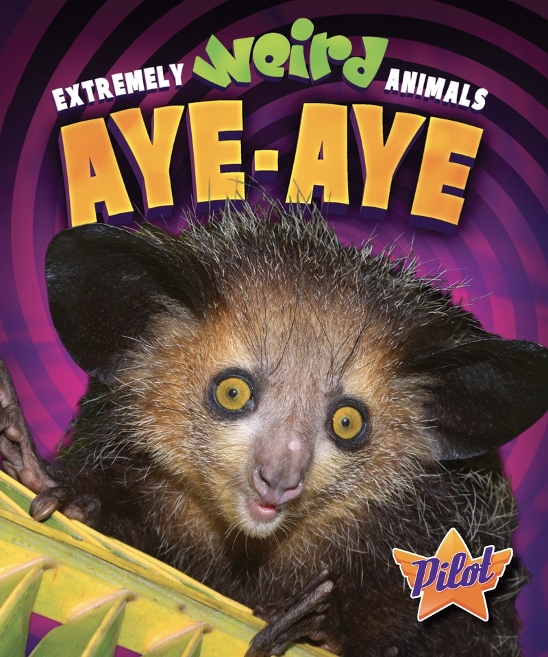 Aye-Aye book cover